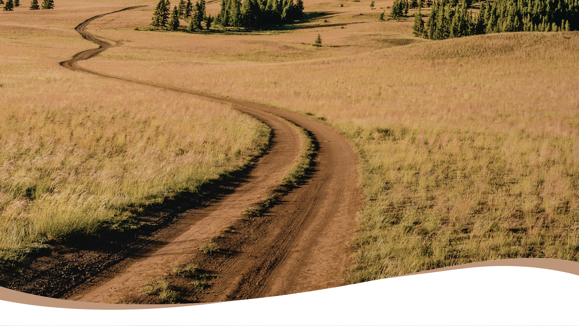 Eddigi éveim az MLM-ben: egy őszinte visszatekintés a megtett útra