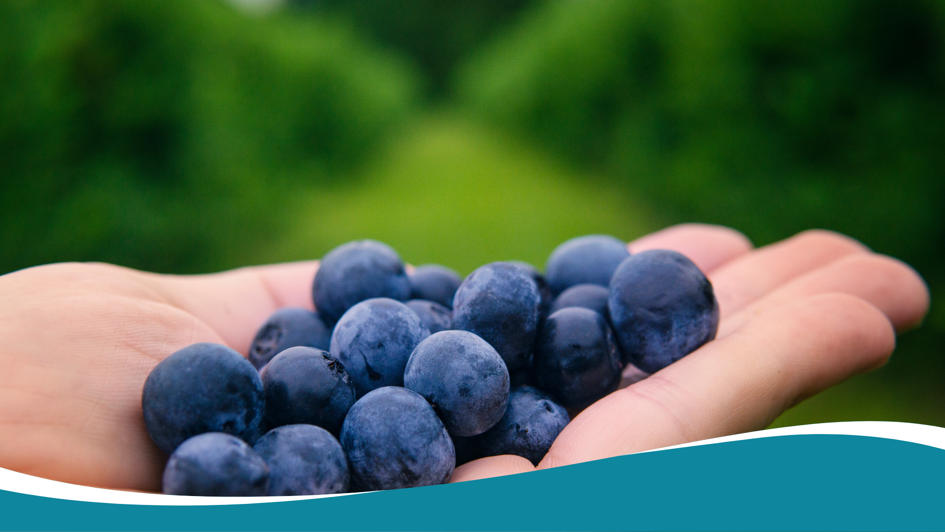 Antioxidáns, amiért a bőröd könyörög